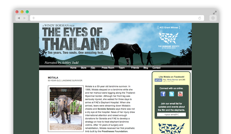 The Eyes of Thailand